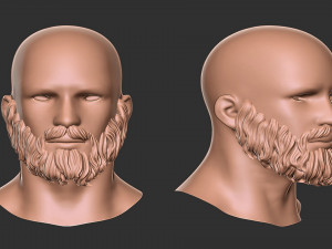 Beard 3 Model Cetak 3D