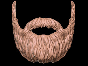 Beard 4 3D 打印模型