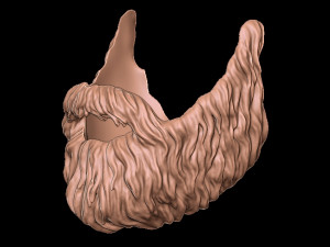 Beard 4 3D-Druckmodell