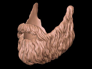 Beard 4 3D Print Model