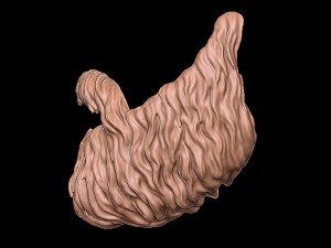 Beard 4 3D-Druckmodell