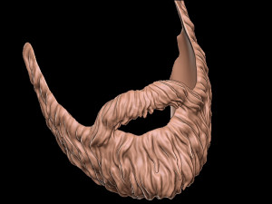 Beard 4 3D-Druckmodell