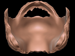 Beard 4 3D-Druckmodell