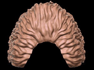 Beard 4 3D-Druckmodell