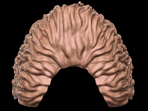 Beard 4 3D Print Model
