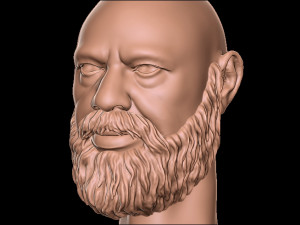 Beard 4 3D-Druckmodell