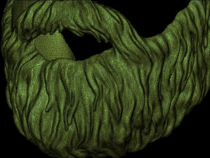 Beard 4 3D-Druckmodell