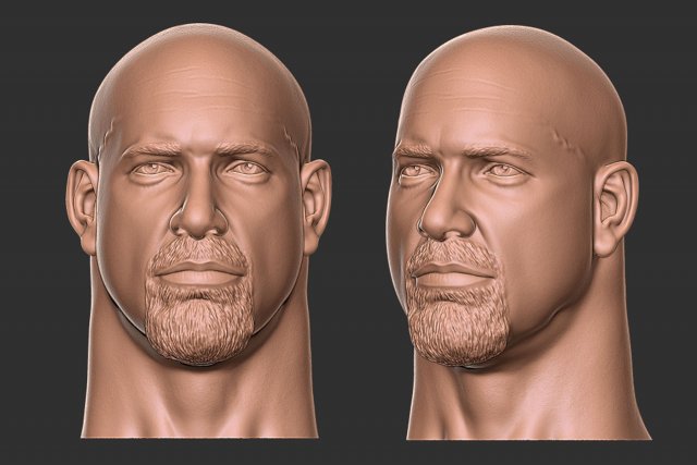 Bill goldberg head 3d print Modelo de impresión 3D .c4d .max .obj .3ds .fbx .stl .blend 