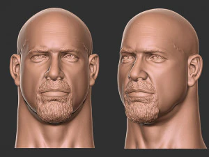 बिल गोल्डबर्ग हेड 3डी प्रिंट 3D प्रिंट मॉडल