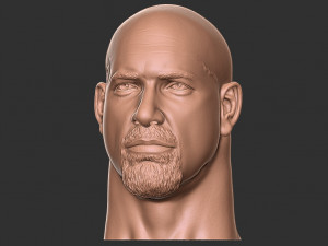 Bill goldberg head 3d print Modelo de impresión 3D