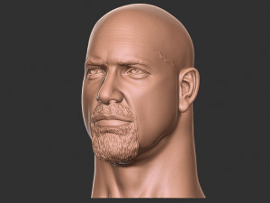 Bill goldberg head 3d print Modelo de impresión 3D