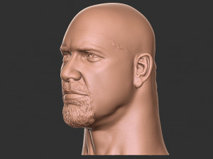 Bill goldberg head 3d print Modelo de impresión 3D