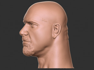 Bill goldberg head 3d print Modelo de impresión 3D