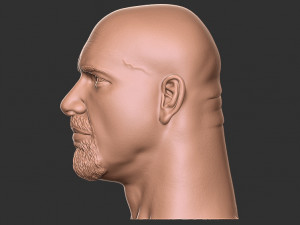 Bill goldberg head 3d print Modelo de impresión 3D