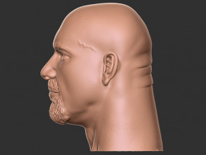 Bill goldberg head 3d print Modelo de impresión 3D