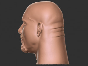 Bill goldberg head 3d print Modelo de impresión 3D