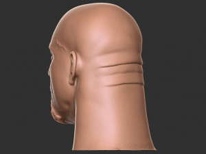 Bill goldberg head 3d print Modelo de impresión 3D