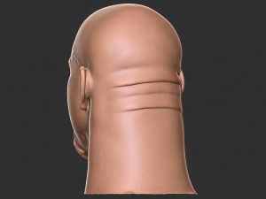 Bill goldberg head 3d print Modelo de impresión 3D