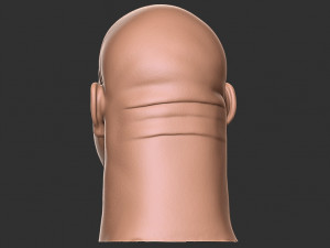 Bill goldberg head 3d print Modelo de impresión 3D