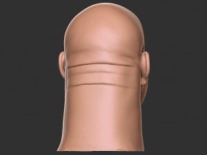 Bill goldberg head 3d print Modelo de impresión 3D
