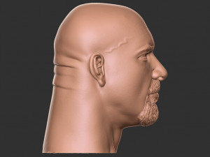Bill goldberg head 3d print Modelo de impresión 3D