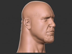 Bill goldberg head 3d print Modelo de impresión 3D