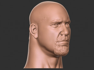 Bill goldberg head 3d print Modelo de impresión 3D