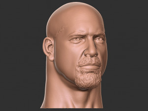 Bill goldberg head 3d print Modelo de impresión 3D