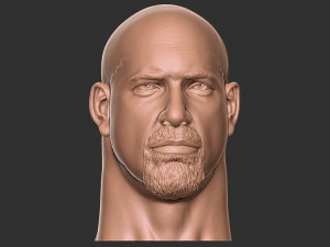 Bill goldberg head 3d print Modelo de impresión 3D