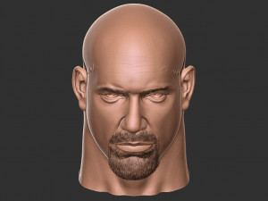 Bill goldberg head 3d print Modelo de impresión 3D