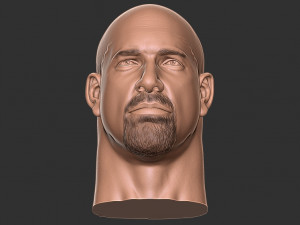 Bill goldberg head 3d print Modelo de impresión 3D
