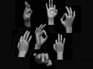 Posizione ok del palmo femminile Modello di stampa 3D