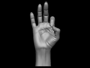 Female palm ok position Model Cetak 3D
