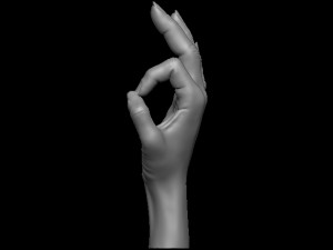 Female palm ok position Model Cetak 3D