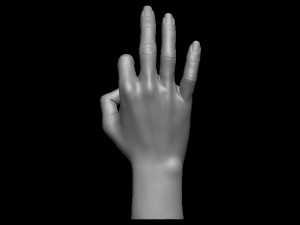 Female palm ok position Model Cetak 3D
