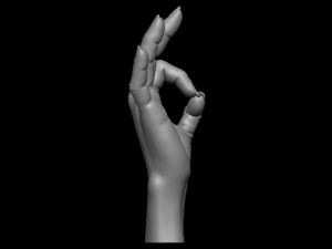 Female palm ok position Model Cetak 3D