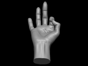 Female palm ok position Model Cetak 3D
