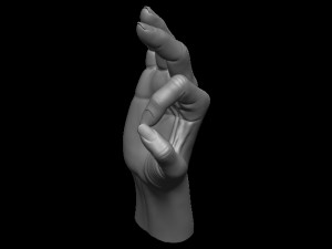 Female palm ok position Model Cetak 3D