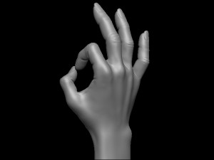 Female palm ok position Model Cetak 3D