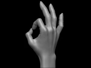 Female palm ok position 3D Print Model