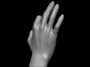 Female palm ok position Model Cetak 3D