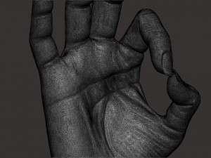 Female palm ok position Model Cetak 3D