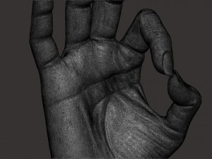 Female palm ok position 3D Print Model