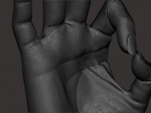 Female palm ok position Model Cetak 3D
