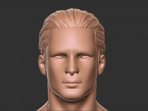 Hair 12 3Dプリントモデル