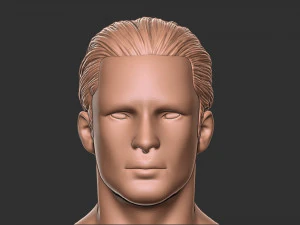 Hair 12 3D Print Model