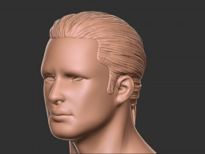 Hair 12 3Dプリントモデル
