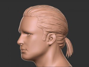 Hair 12 3Dプリントモデル