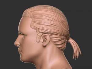 Hair 12 3Dプリントモデル