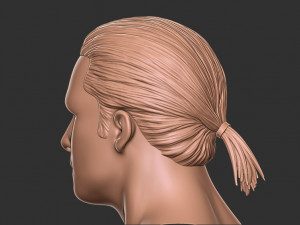 Hair 12 3Dプリントモデル